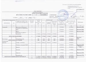 Утвержденное штатное расписание на 2017 год