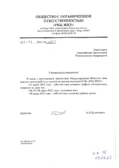 Превью PDF
